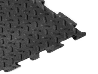 Stavba –  Scobax Alfa