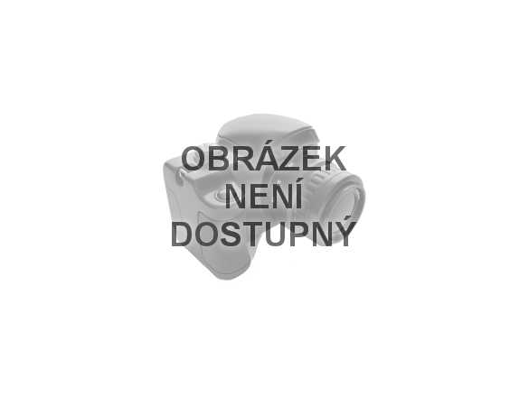 Hlubinné ponorné čerpadlo do studní a vrtů Elpumps BP 19/4